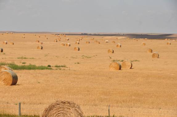 South Dakota,um estado predominantemente agrícola nas Great Plains dos Estados Unidos